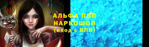 PSILOCYBIN Аркадак