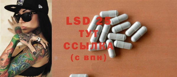 PSILOCYBIN Аркадак