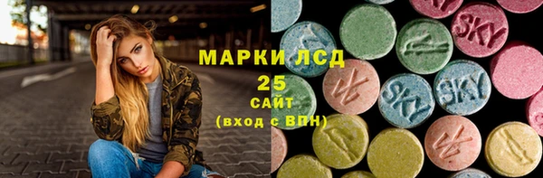 PSILOCYBIN Аркадак