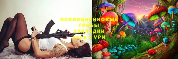 PSILOCYBIN Аркадак